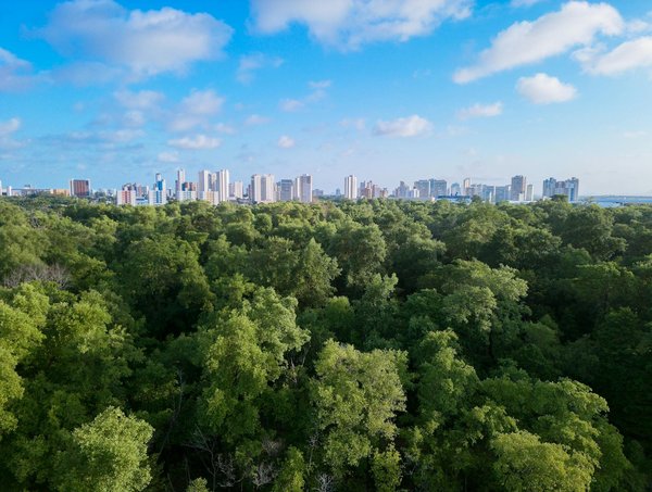 Panneau solaire photovoltaïque : un choix gagnant pour vous